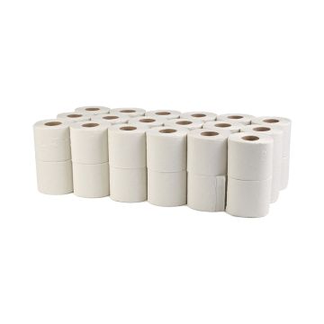 Eco Standard Toilet Rolls 2 ply 36x320sht